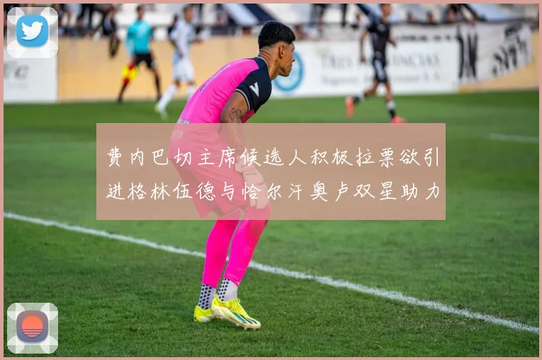 费内巴切主席候选人积极拉票欲引进格林伍德与恰尔汗奥卢双星助力球队